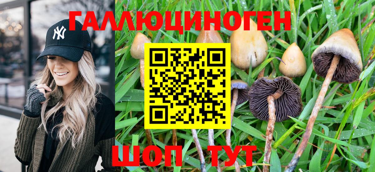 Псилоцибиновые грибы Psilocybine cubensis  Вход с VPN  Дедовск 