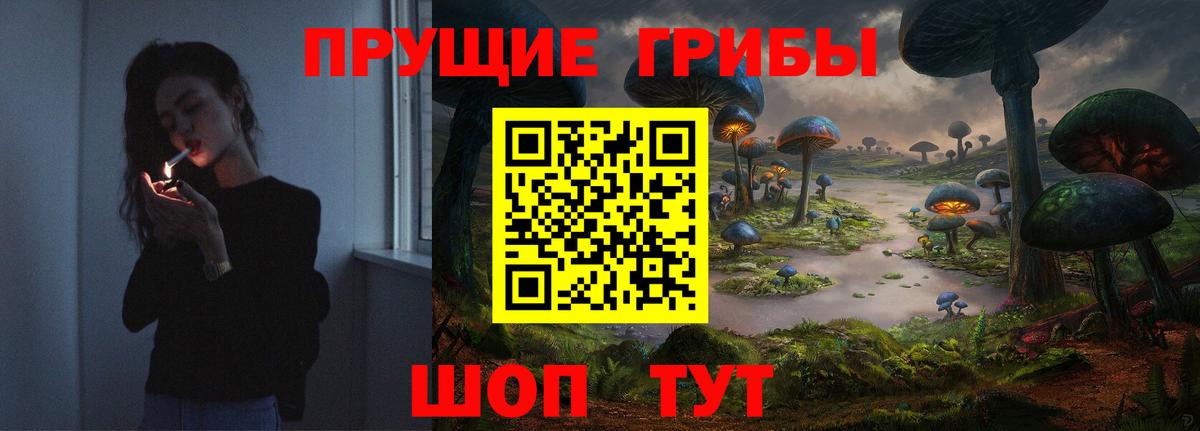 Псилоцибиновые грибы ЛСД Дедовск